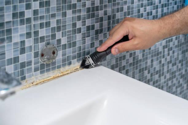 Best Residential Mold Removal  in Ara, AL