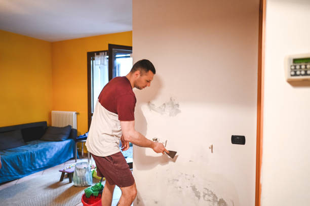 Home Mold Removal in Ara, AL